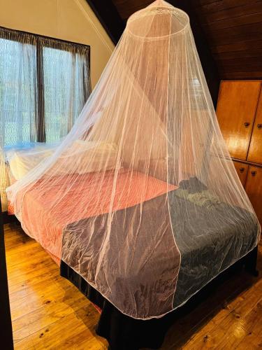 a bed with a net on top of it at Mirz accomodation FJ in Pacific Harbour
