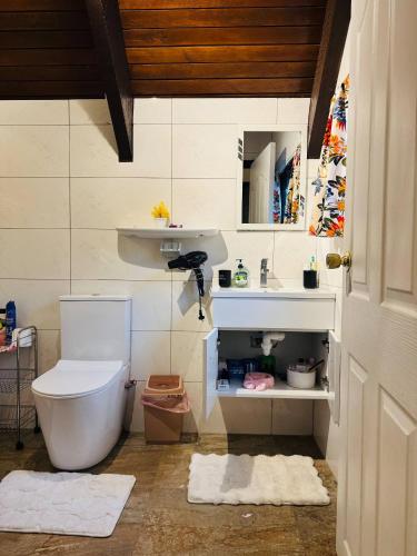 a bathroom with a toilet and a sink at Mirz accomodation FJ in Pacific Harbour