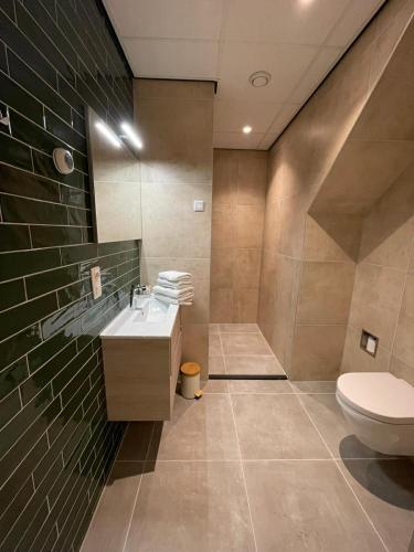 a bathroom with a sink and a toilet at hotel de kaaipoort in Aardenburg