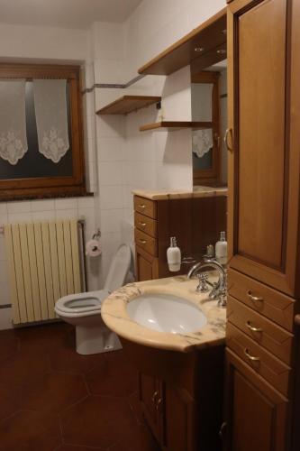 a bathroom with a sink and a toilet at Al Roser in Forno di Zoldo