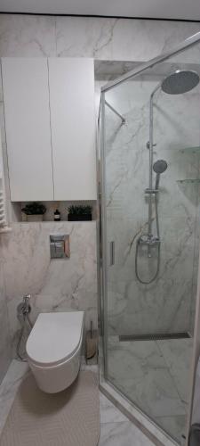 a bathroom with a shower and a toilet in it at SkyHouse&PrivateGarage in Chişinău