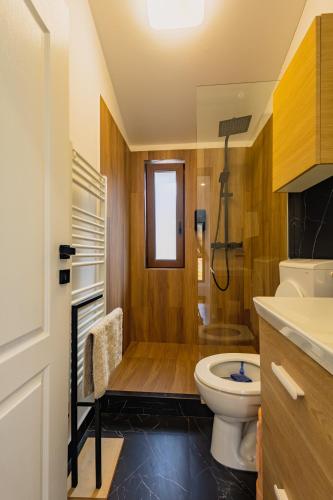 a bathroom with a toilet and a shower at Nessa Chalet in Moara de Pădure