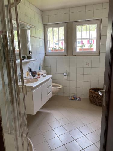 a bathroom with a sink and a toilet and two windows at La maison du petit bonheur in Moutier