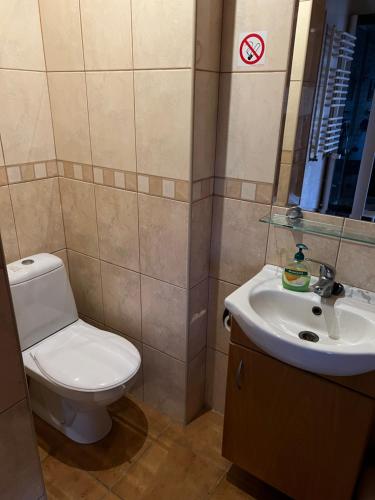 a bathroom with a toilet and a sink at Podkamiencem in Odrzykoń