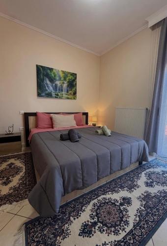 Bakopoulos resort Ένα Όμορφο Διαμέρισμα στα Τρίκαλα