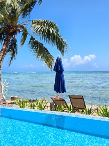 Secret Spot Lagoon Dream