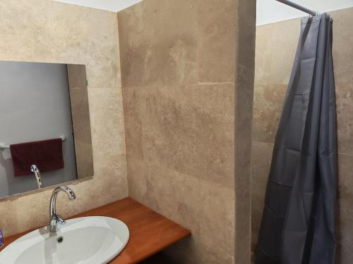 a bathroom with a sink and a mirror at Les Nids Pyrénéens in Castillon-de-Larboust