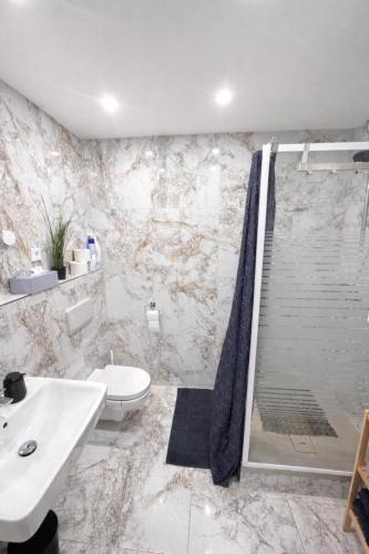 a bathroom with a shower and a toilet and a sink at Ferienwohnung AyNa 2, direkt an der Schweizer Grenze in Bad Säckingen