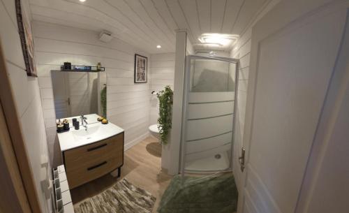 a bathroom with a shower and a sink and a toilet at La maisonnette des Fontilles in Mauriac
