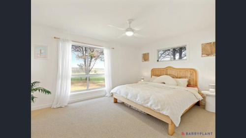 Gallery image of The tropical farm in Ventnor