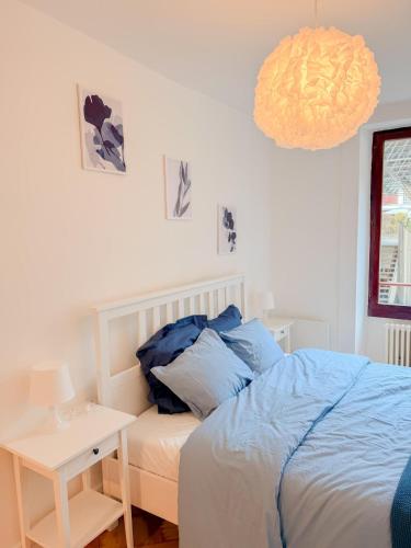 Central Geneva Cozy Apartment