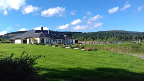 una casa en una colina con un campo verde en Lus Mor en Roundwood