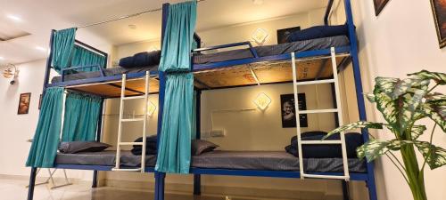 a room with two bunk beds with blue curtains at Suitcase Stories Delhi in New Delhi