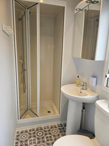 a bathroom with a shower and a sink at Ruth's Rest Shropshire Country Retreat with private Hot Tub & Views countryside in Shrewsbury
