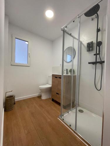 a bathroom with a shower and a toilet at Apartamento Pla in Girona