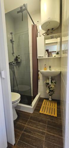 a bathroom with a shower and a toilet and a sink at Apartment MiriMore in Hodilje