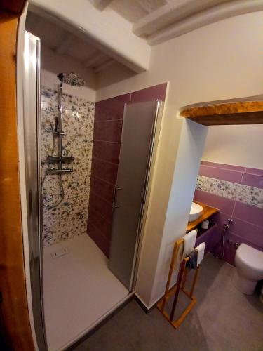a bathroom with a shower with a toilet and a sink at Casa Bellocchio in Castel Giorgio