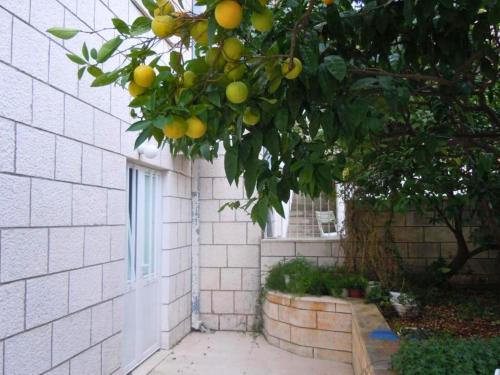 Central Apartment Dubrovnik