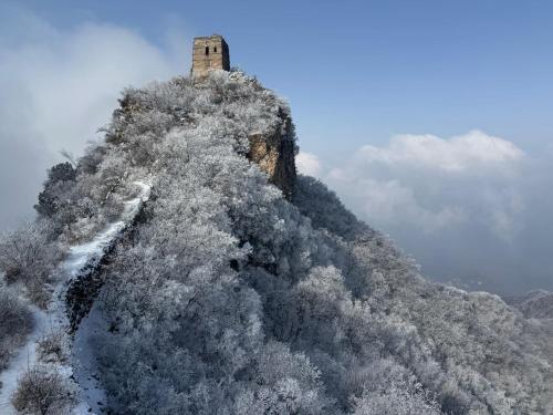 a building on top of a mountain with trees at Black Stone Hilltop Great Wall Lodge & Whisky Lounge in Simataicun