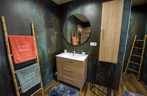 a bathroom with a sink and a mirror at LE NID DES PLANCHETTES - Suite Chambres d'Hôtes in Germéfontaine