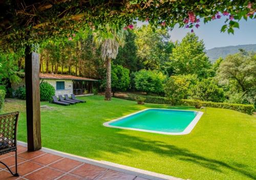 a backyard with a swimming pool in the grass at Green Villa Gerês in Geres