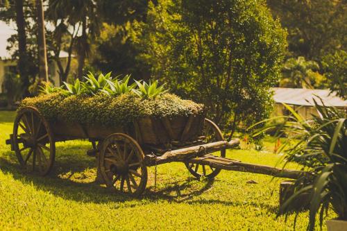 a wooden cart with plants on the grass at Sítio Crescer in Garibaldi