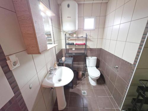 a small bathroom with a toilet and a sink at Dalia Mare in Flogita