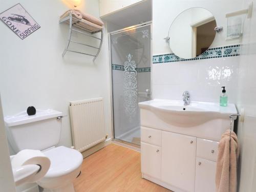 a bathroom with a toilet and a sink and a shower at 1 Bed in Lampeter oc-43288 in Tregaron