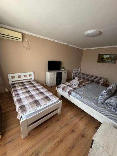 a bedroom with two beds and a tv in it at Panorama Spa Apartment in Berehove