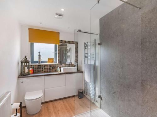 a bathroom with a toilet and a sink and a shower at 2 Bed in Cardigan oc-83919 in Cilgerran