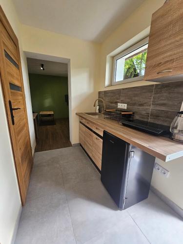 Apartament nad Zalewem Przy Guzowatej