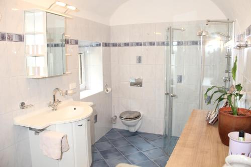 a bathroom with a toilet and a sink and a shower at Ferienwohnung Vorstadt in Gmünd in Kärnten