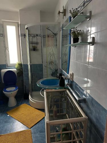 a bathroom with a shower and a sink and a toilet at Rotonda apartment in Lugoj