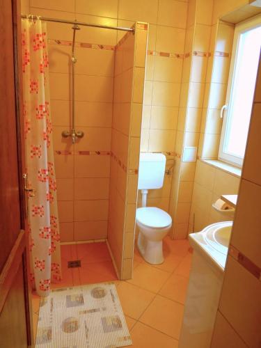 a bathroom with a toilet and a shower at Horváth Apartmanház in Orosháza