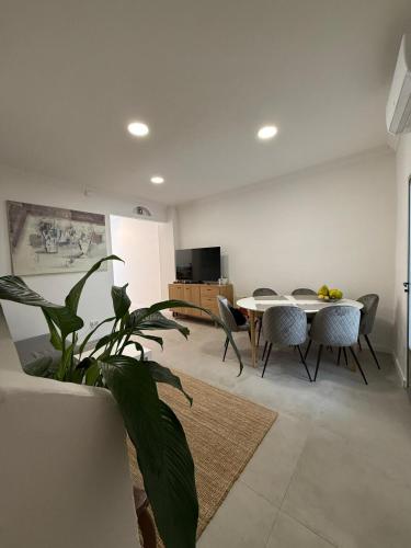 Large New House with Terraces and Air Conditioning