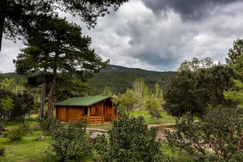 a wooden cabin with a green roof in a field at El Llano de los Conejos Serranía de Cuenca in Cañamares