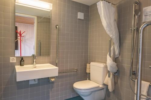 a bathroom with a toilet and a sink and a mirror at Brienz Youth Hostel in Brienz