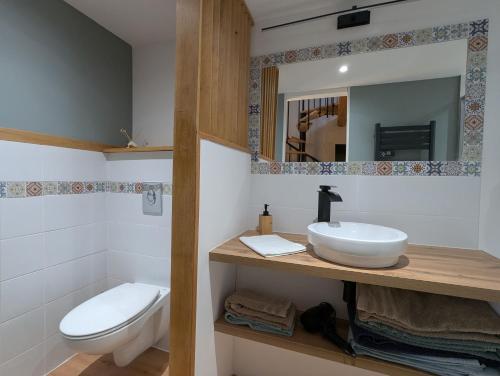 a bathroom with a sink and a toilet and a mirror at Les Chardonnerets in Villemandeur