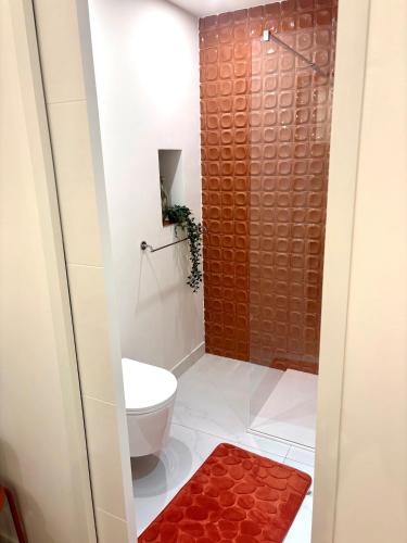 a bathroom with a toilet and a shower at CAVALOC T2 terrasse vue colline in Cavalaire-sur-Mer