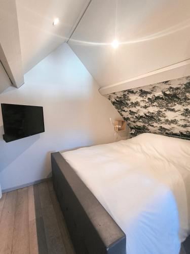 a bedroom with a bed and a flat screen tv at Cottage du Lac Studio in Nivezé