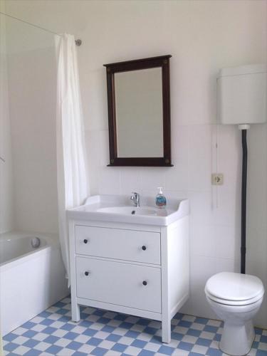 a bathroom with a sink and a toilet and a mirror at Rittergut Endorf in Endorf