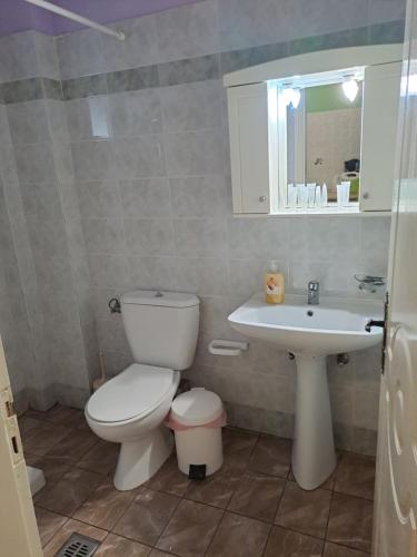 a bathroom with a toilet and a sink at Ground floor economy studio in karmiris studios in Zakynthos