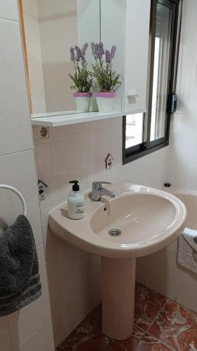 a bathroom sink with a mirror and two plants at Eclipse del Júcar Luna in Alcalá del Júcar
