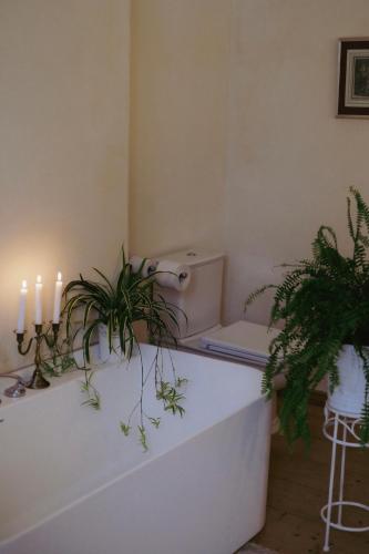 a bathroom with a toilet with candles and plants at Anija mõis in Anija