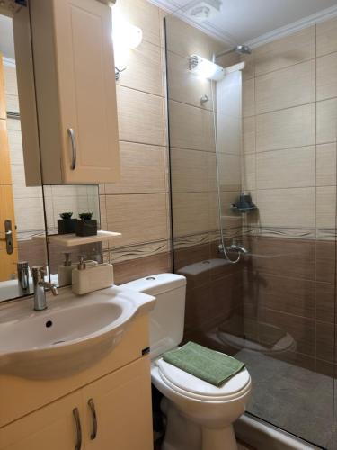 ein Badezimmer mit Toilette, Waschbecken und Dusche in der Unterkunft AZRA studios in Mytilini