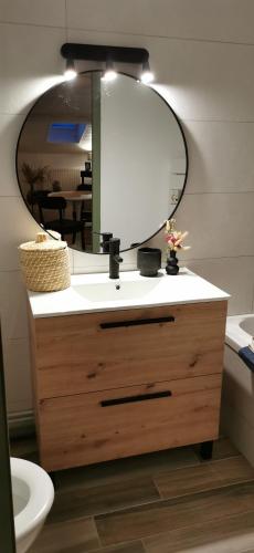 a bathroom with a sink and a mirror on a vanity at Chez Ariel et Myrtille in Bruyères