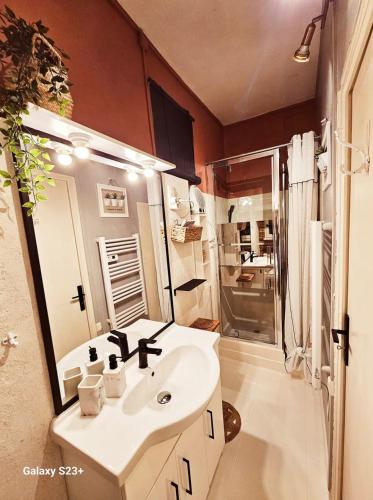 Le refuge des cigales - Appartement climatisé intra