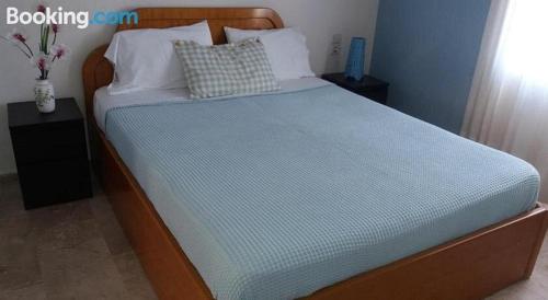 Panormos-Nice studio with row of trees