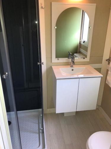 a bathroom with a sink and a shower with a mirror at Camping A Torra in Galeria