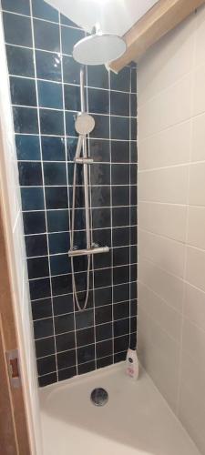 a bathroom with a blue tiled wall and a toilet at La Dilettante - petit déjeuner inclus - 10mn du Parc in Treize-Vents